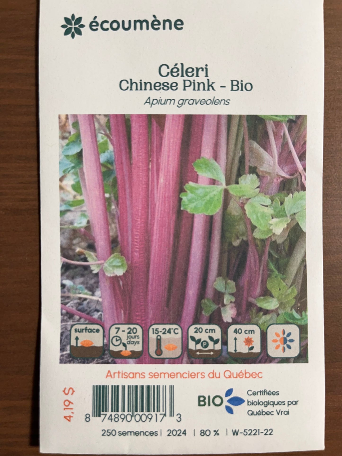 Céleri Chinese Pink - BIO