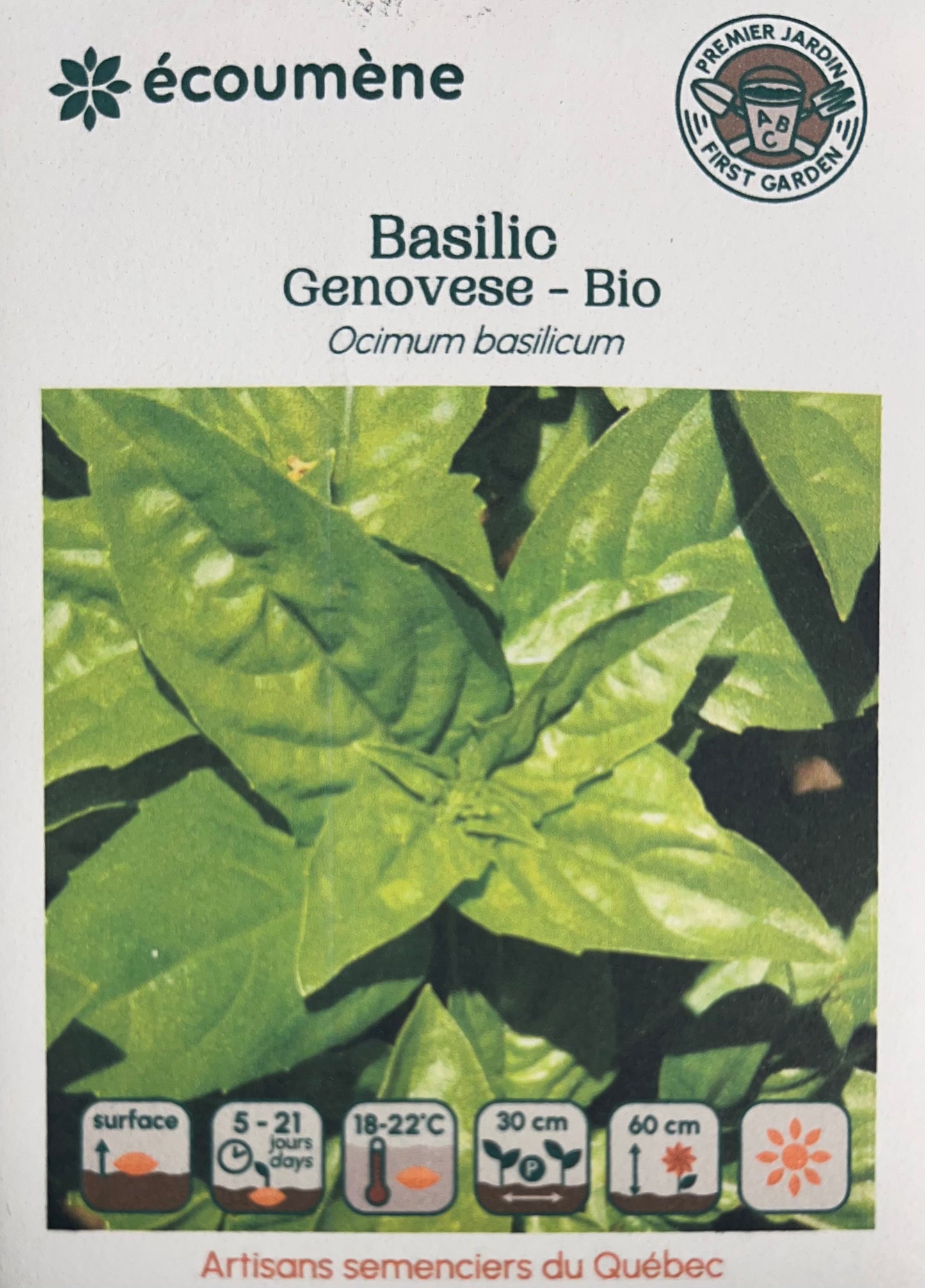 Basilic Genovese - BIO