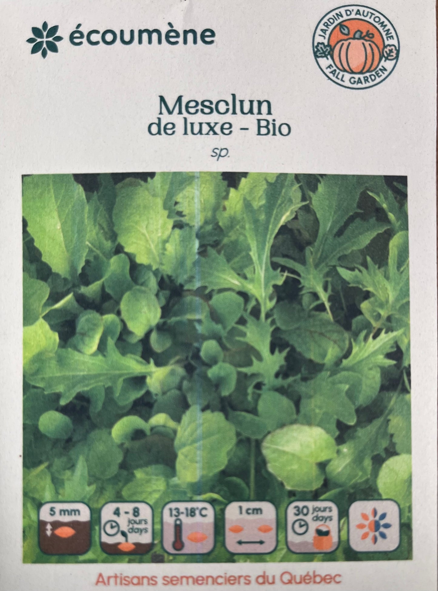 Mesclun de Luxe  - BIO