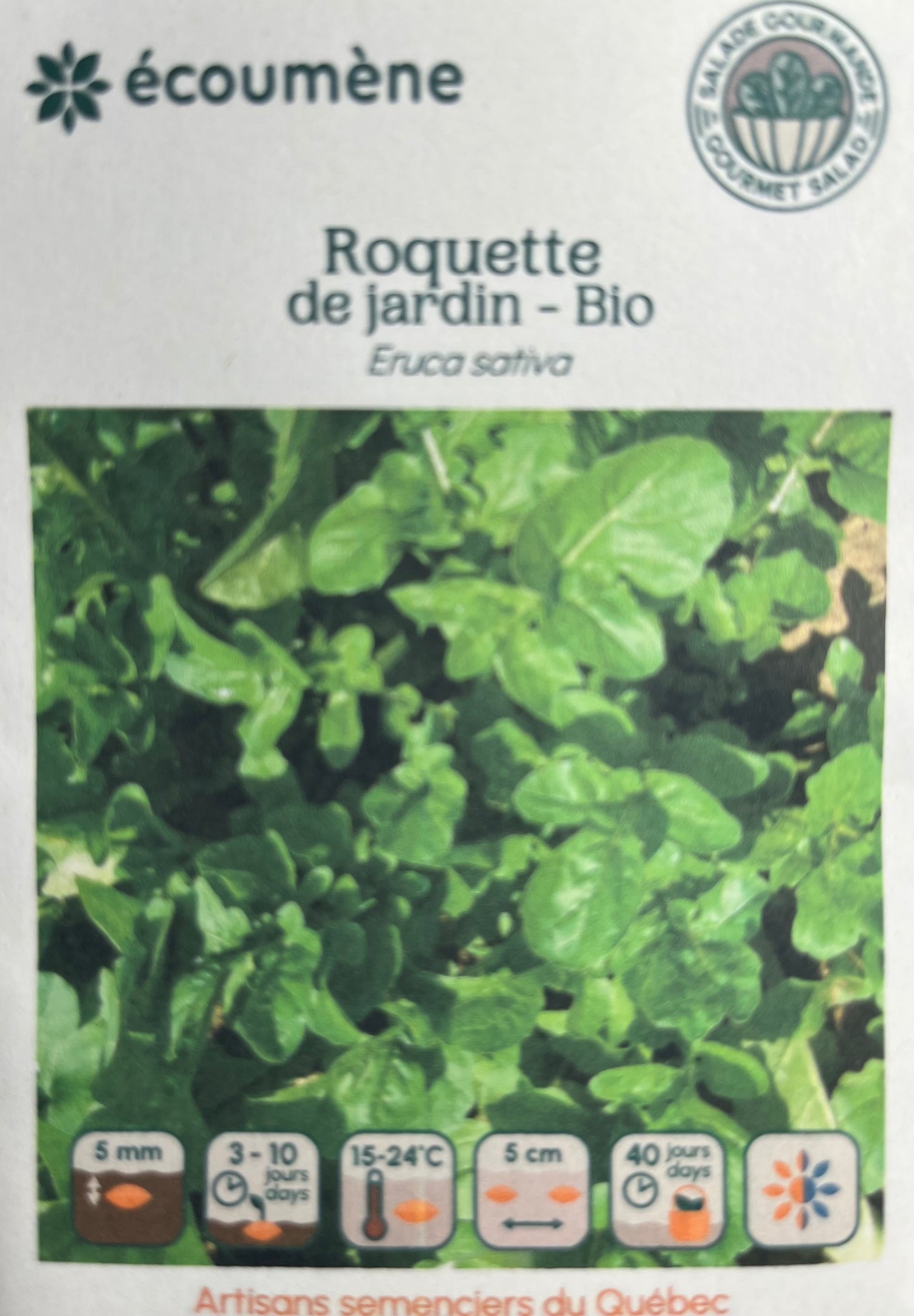 Roquette de jardin - Bio