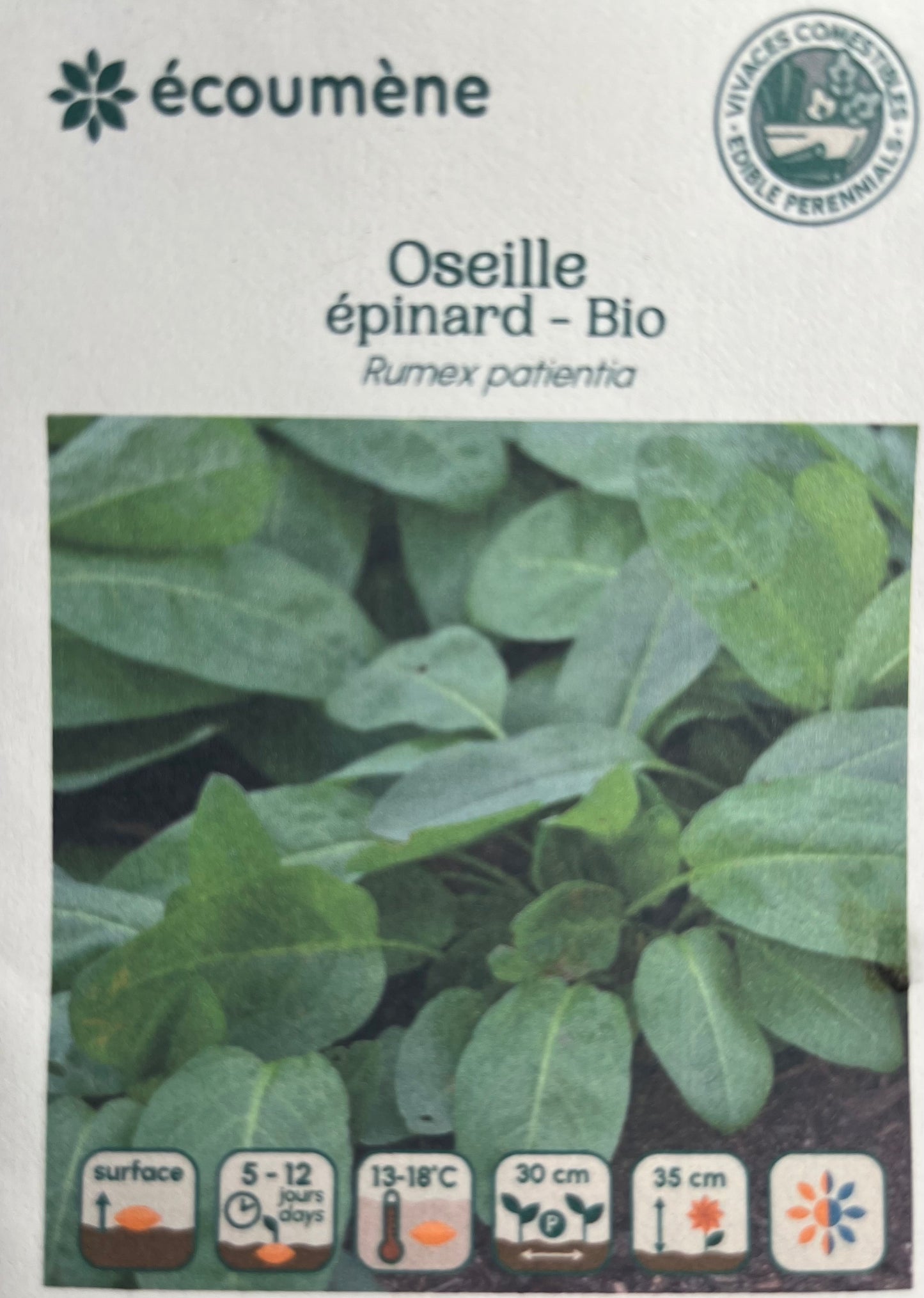 Oseille Épinard - Bio