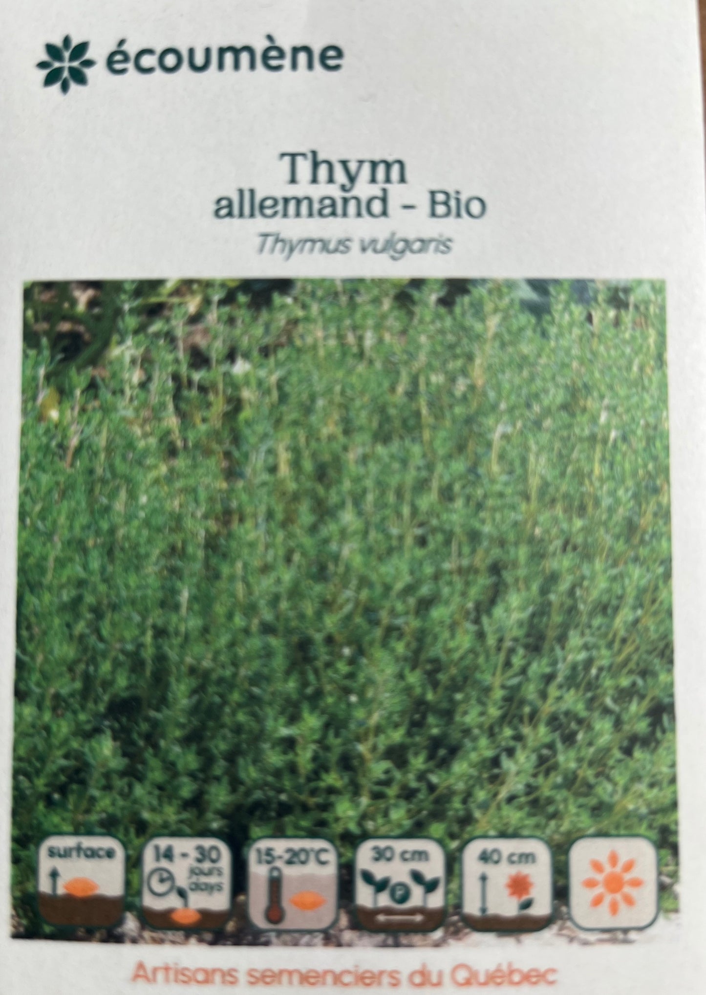 Thym Allemand - Bio