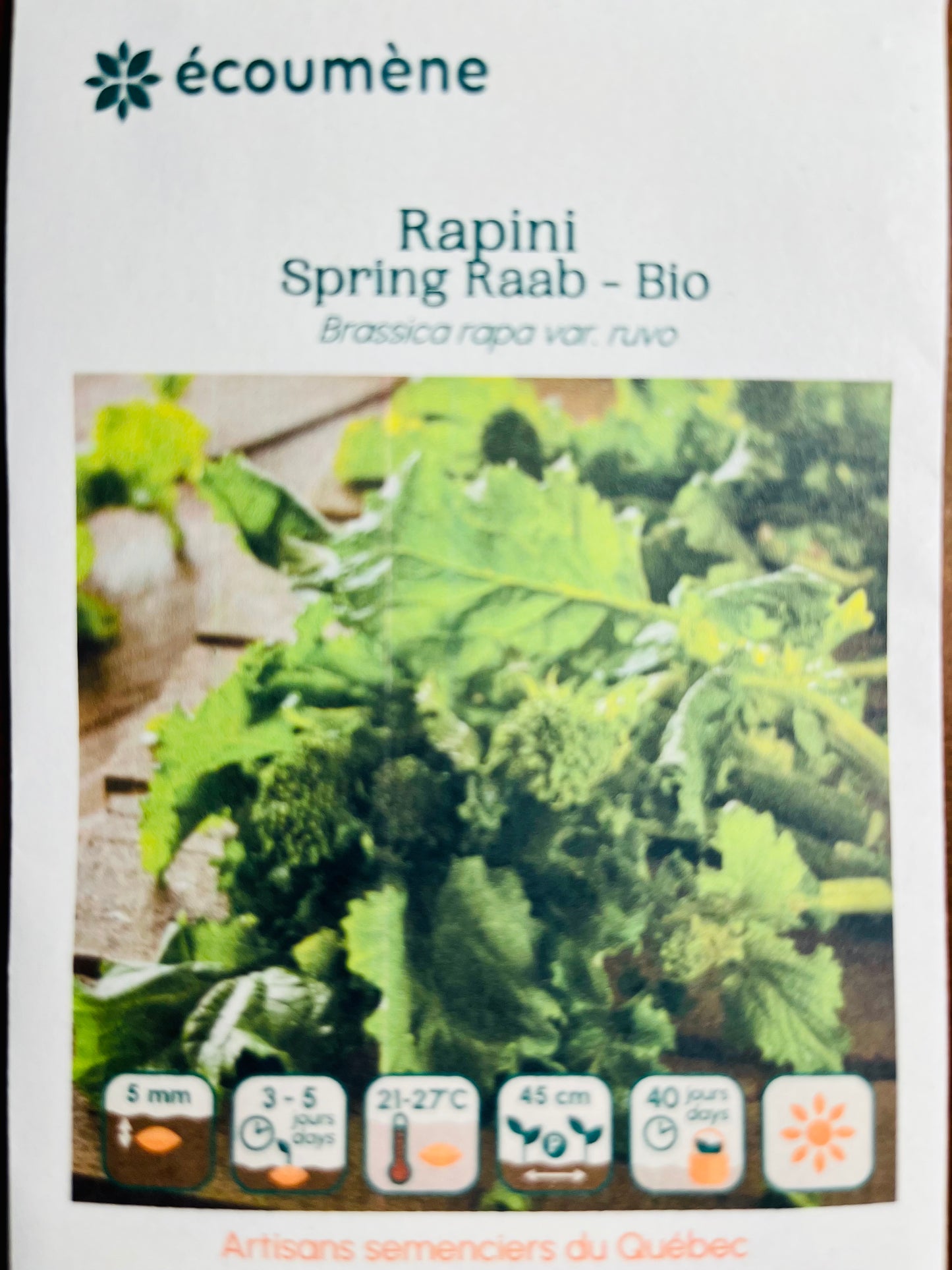 RAPINI Spring Raab - Bio